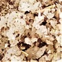 ’’Sel fou’’ Grilladin © au gros sel gemme de source 100% naturel de Salies de Béarn vrac en gros plan